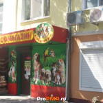 Зоомагазин "Любимчик"