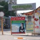Рынок "Орхидея"